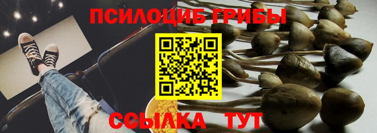 Галлюциногенные грибы Psilocybine cubensis  Вход с VPN  Галлюциногенные грибы Psilocybe  Энгельс 